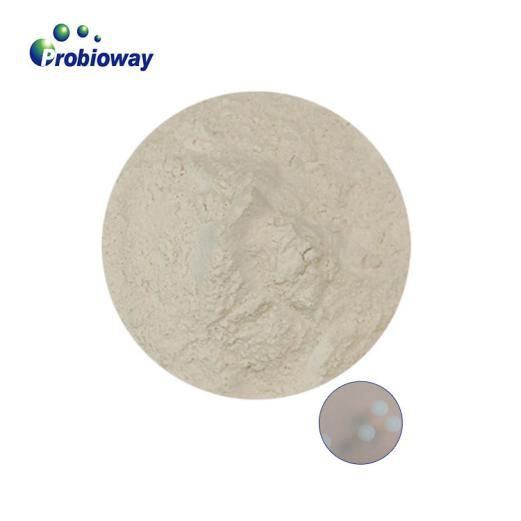 Tính chất của prebiotic là gì