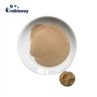 Phụ gia chăn nuôi Bacillus Licheniformis