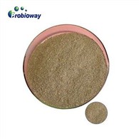 Bacillus Pumilus Thức ăn gia súc