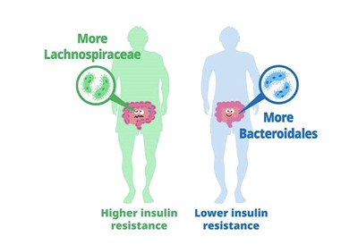 Hai loại men vi sinh chứng minh khả năng hỗ trợ đầy hứa hẹn trong điều trị hu...