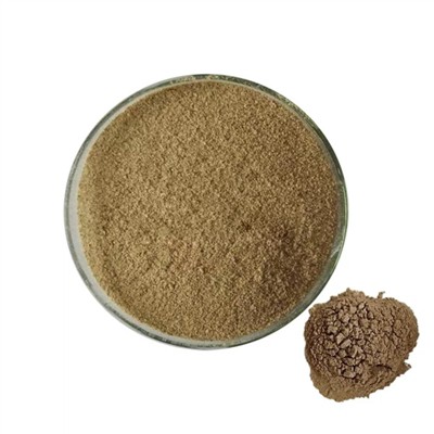 Bacillus Subtilis: Một vi sinh vật quan trọng cho sinh thái, sức khỏe và tiềm...