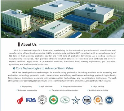 Ngày Viêm gan Thế giới 2024---Hành động Bảo vệ Probiotics